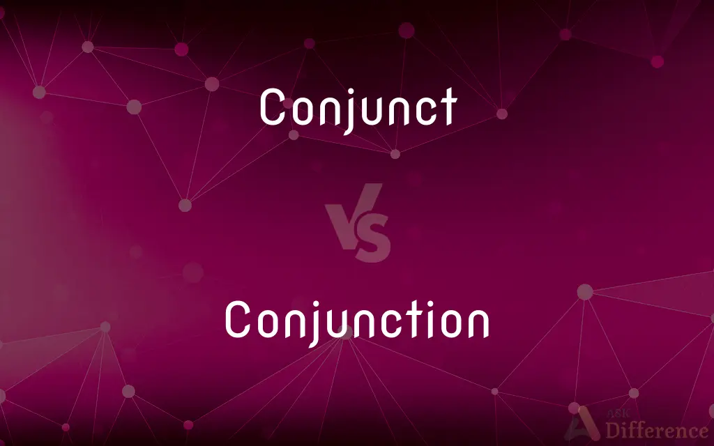 Conjunct vs. Conjunction — What's the Difference?