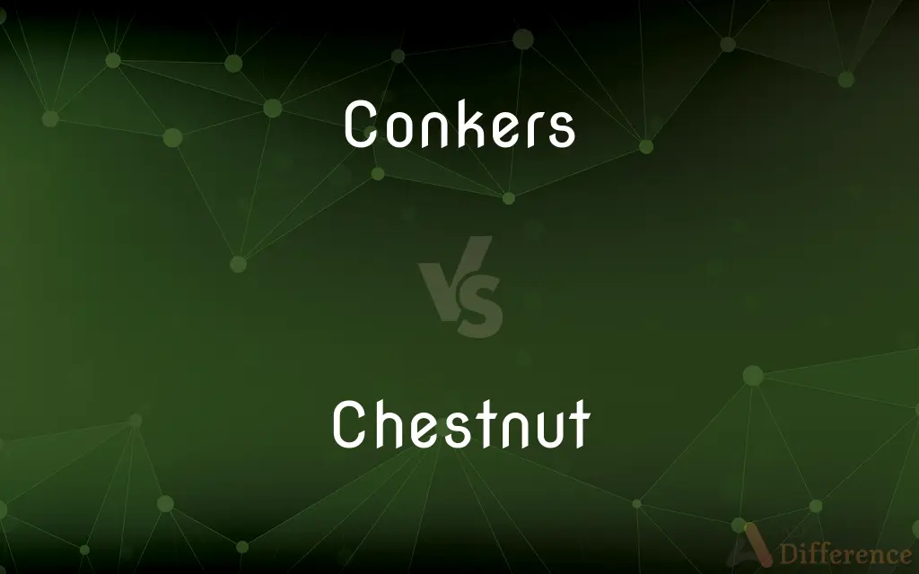 Conkers vs. Chestnut — What's the Difference?