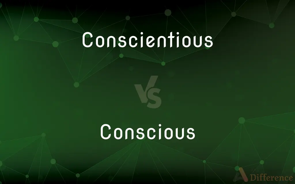 Conscientious vs. Conscious — What's the Difference?