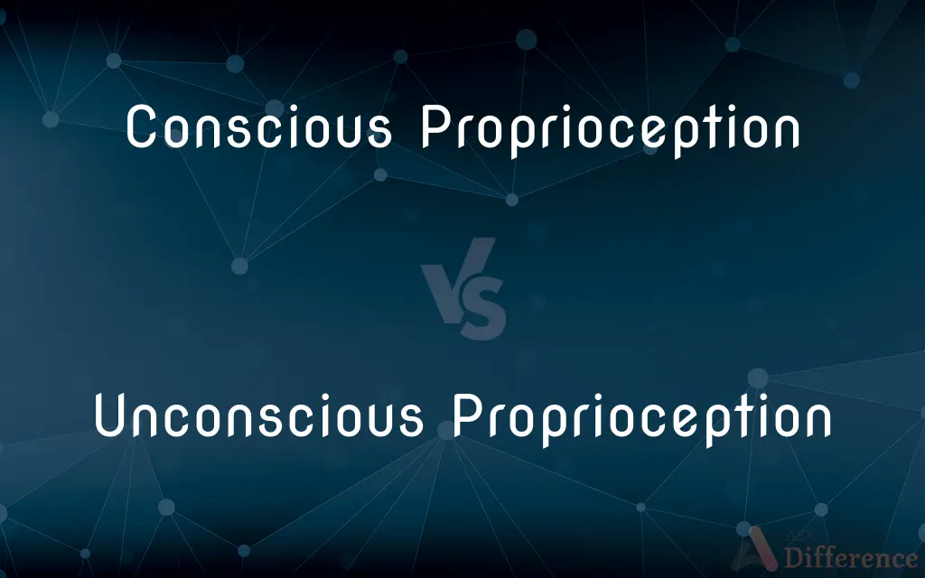 Conscious Proprioception vs. Unconscious Proprioception — What's the Difference?