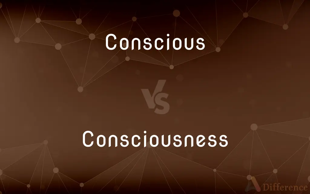 Conscious vs. Consciousness — What's the Difference?