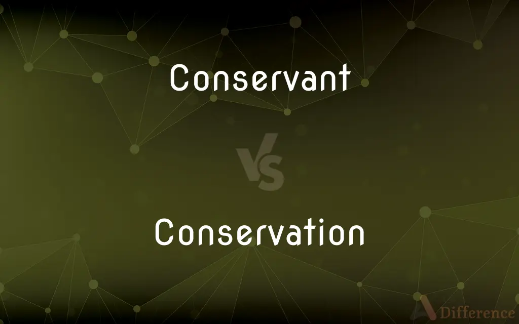 Conservant vs. Conservation — What's the Difference?