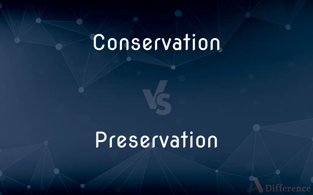 Conservation vs. Preservation — What's the Difference?