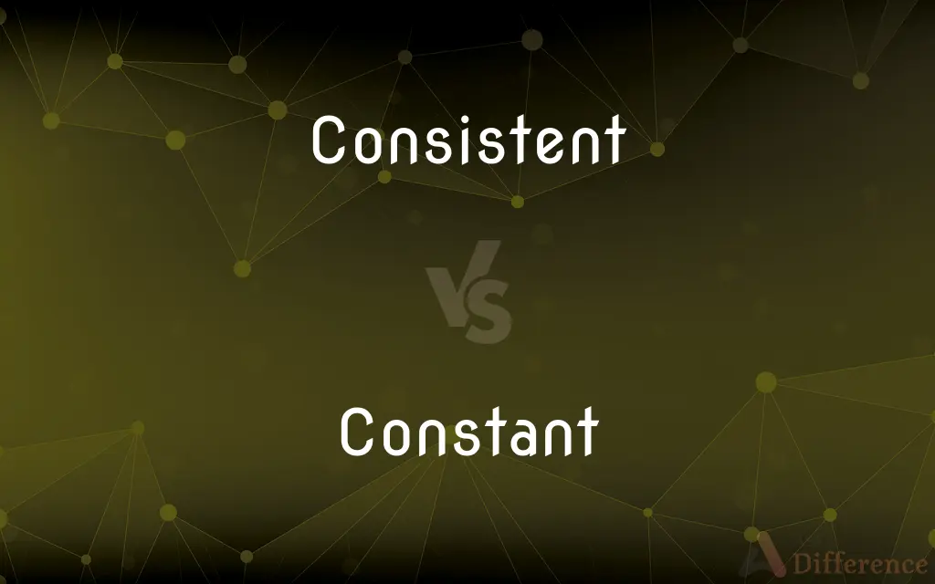 Consistent vs. Constant — What's the Difference?