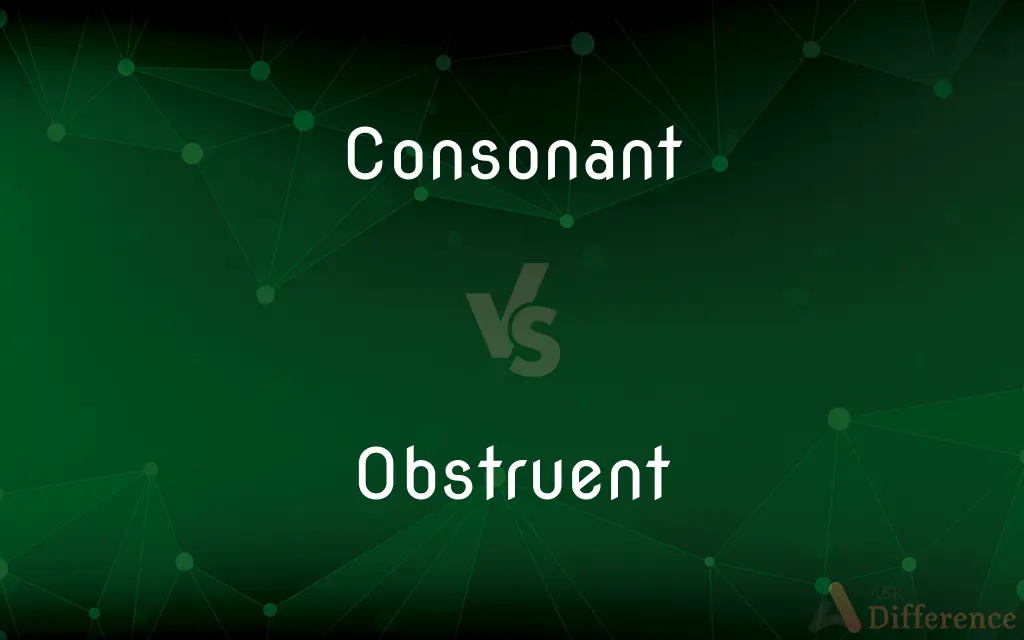 Consonant vs. Obstruent — What's the Difference?