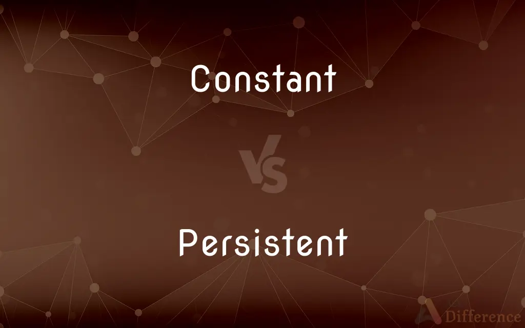 Constant vs. Persistent — What's the Difference?