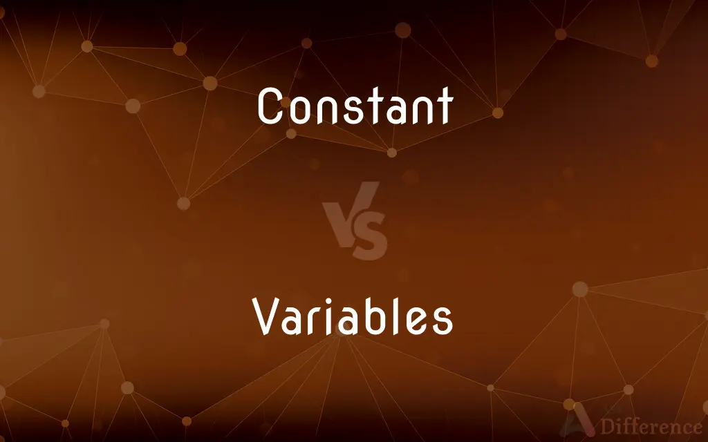 Constant vs. Variables — What's the Difference?