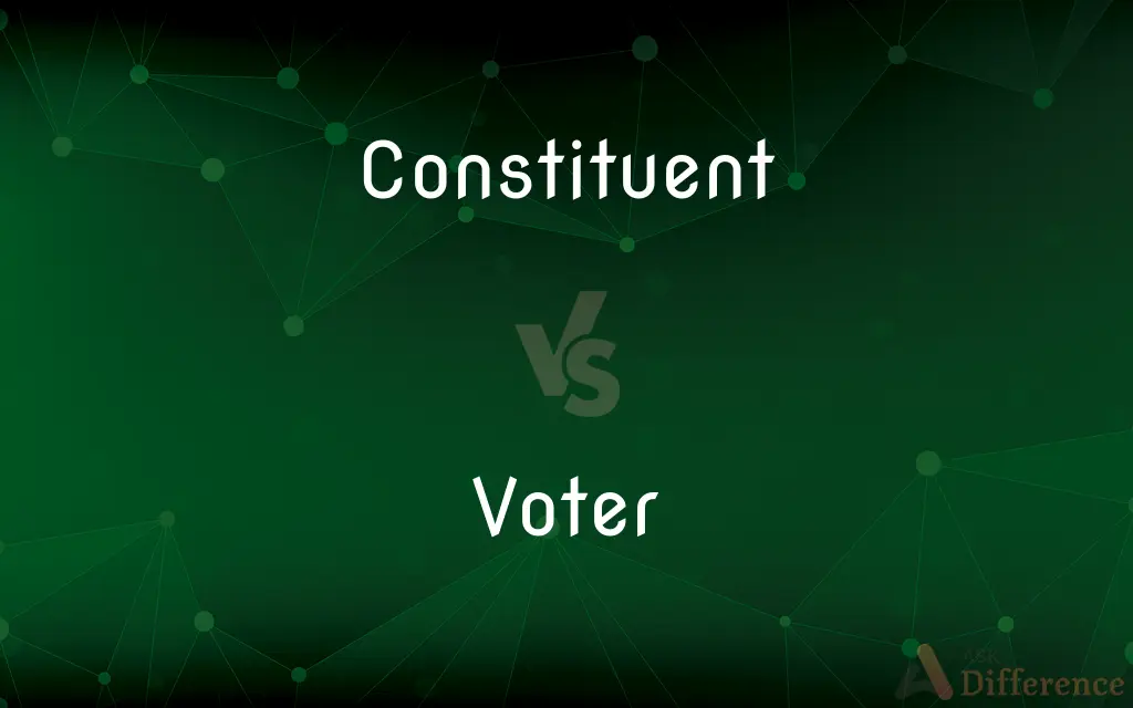 Constituent vs. Voter — What's the Difference?