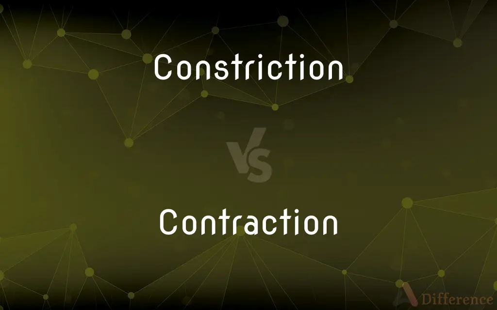 Constriction vs. Contraction — What's the Difference?