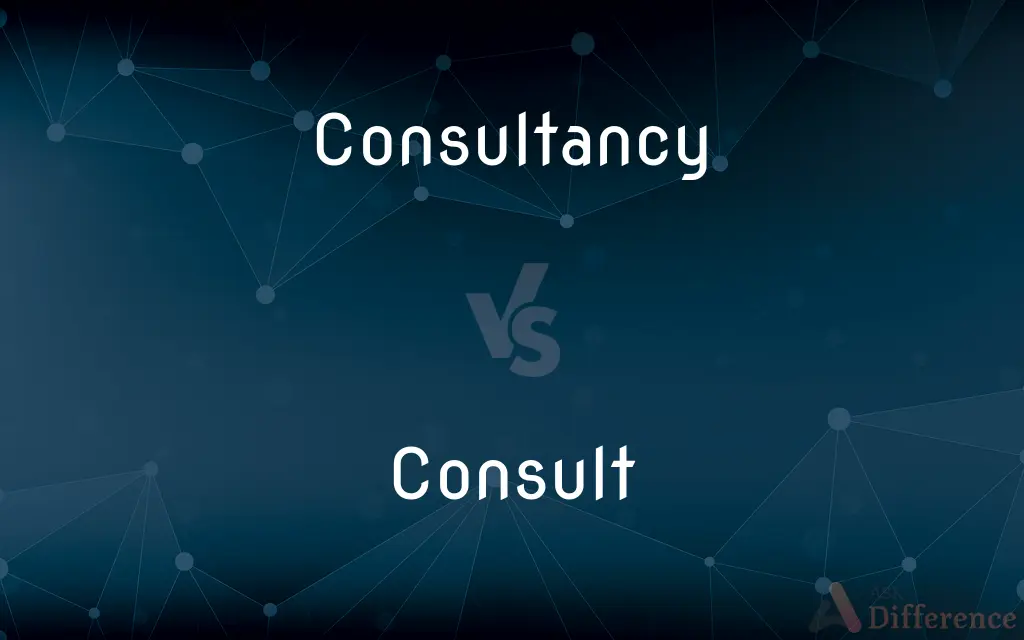 Consultancy vs. Consult — What's the Difference?
