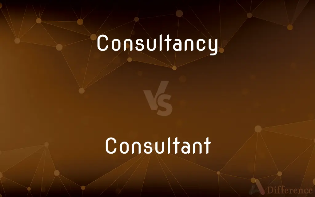 Consultancy vs. Consultant — What's the Difference?