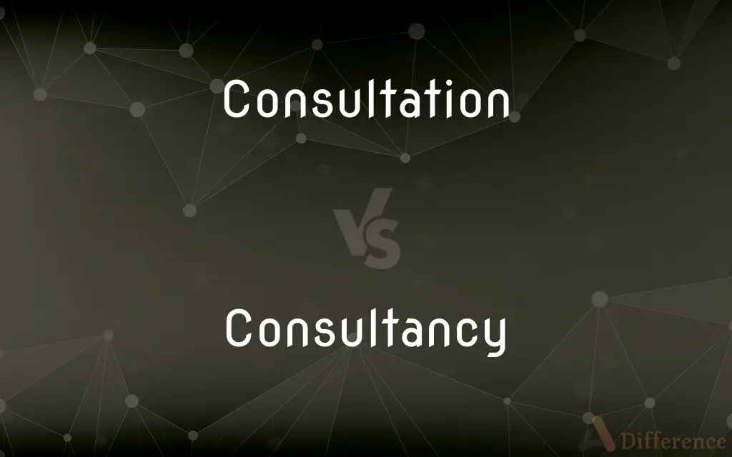 Consultation vs. Consultancy — What's the Difference?