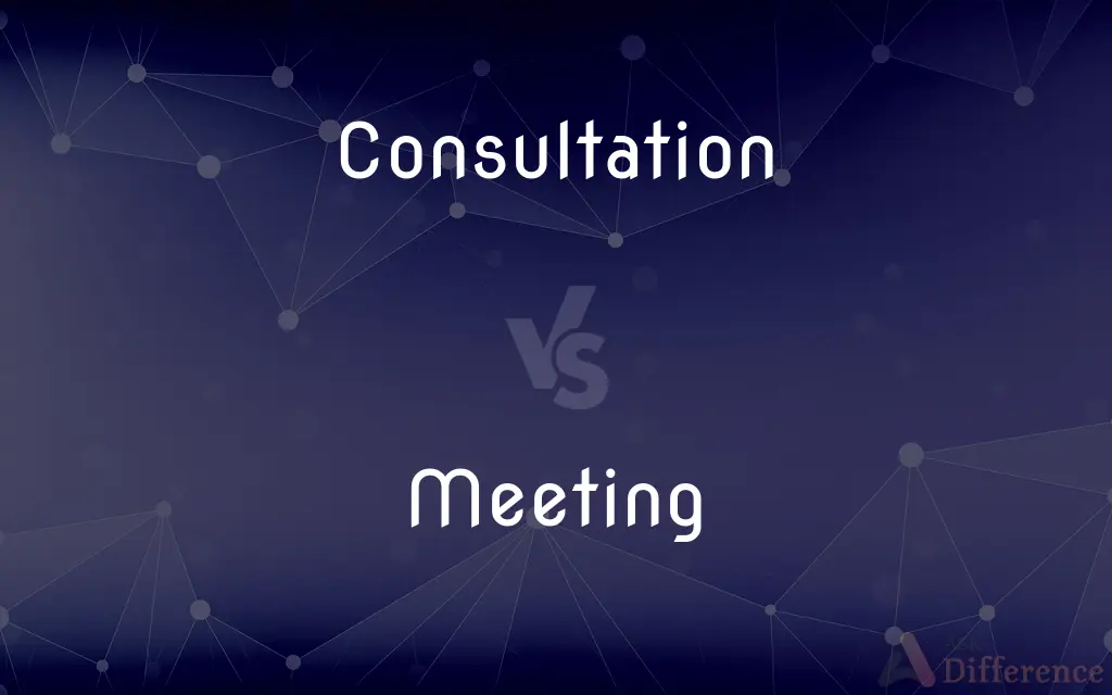 Consultation vs. Meeting — What's the Difference?