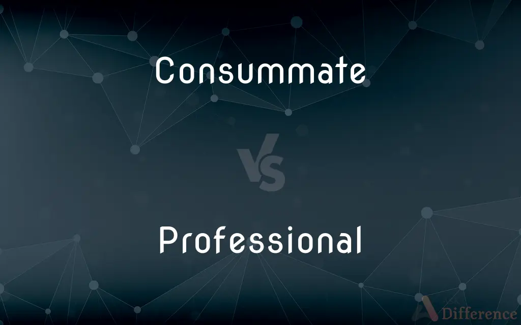 Consummate vs. Professional — What's the Difference?
