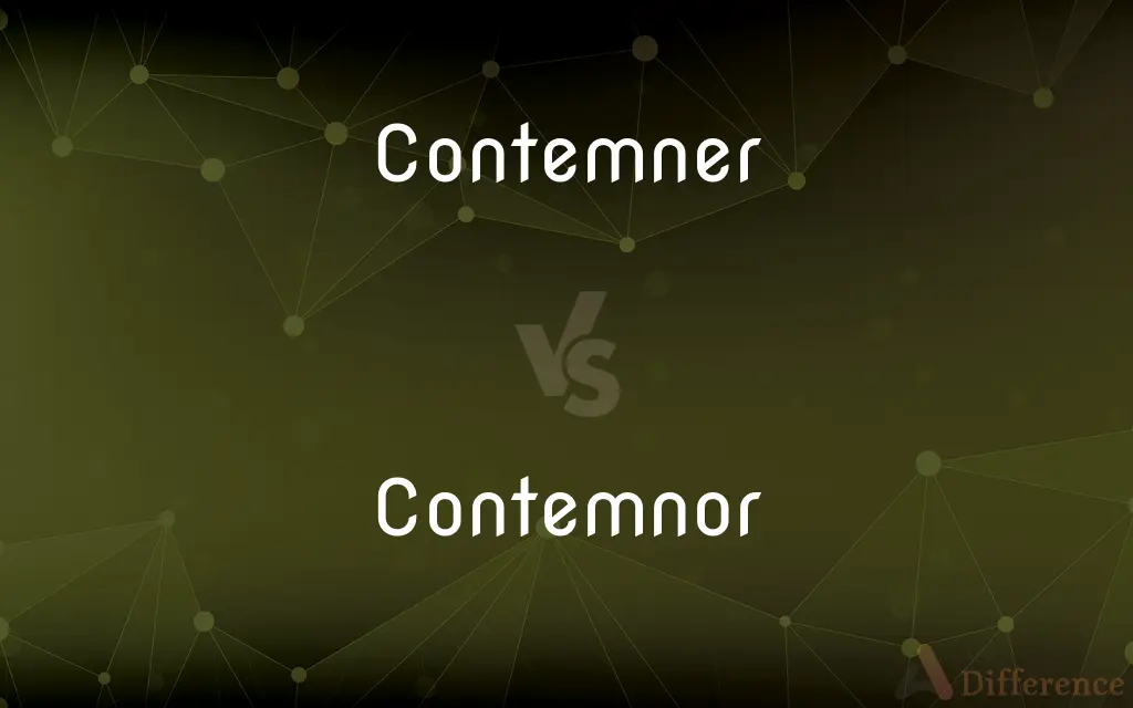 Contemner vs. Contemnor — What's the Difference?