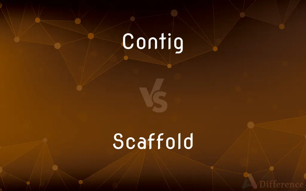Contig vs. Scaffold — What's the Difference?