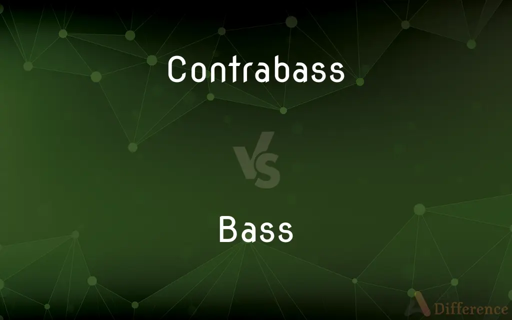 Contrabass vs. Bass — What's the Difference?