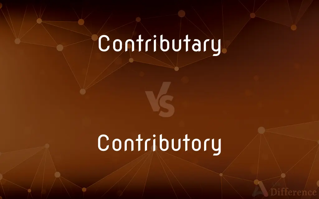 Contributary vs. Contributory — What's the Difference?