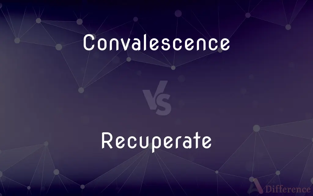 Convalescence vs. Recuperate — What's the Difference?