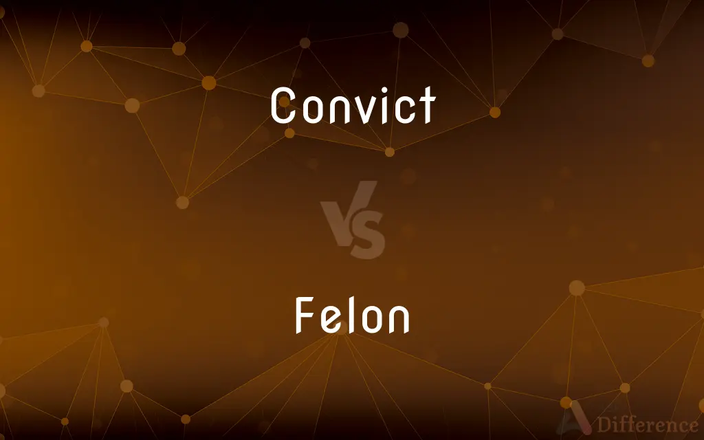 Convict vs. Felon — What's the Difference?