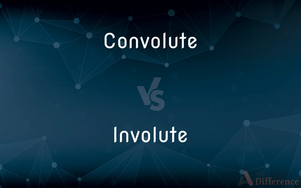 Convolute vs. Involute — What's the Difference?