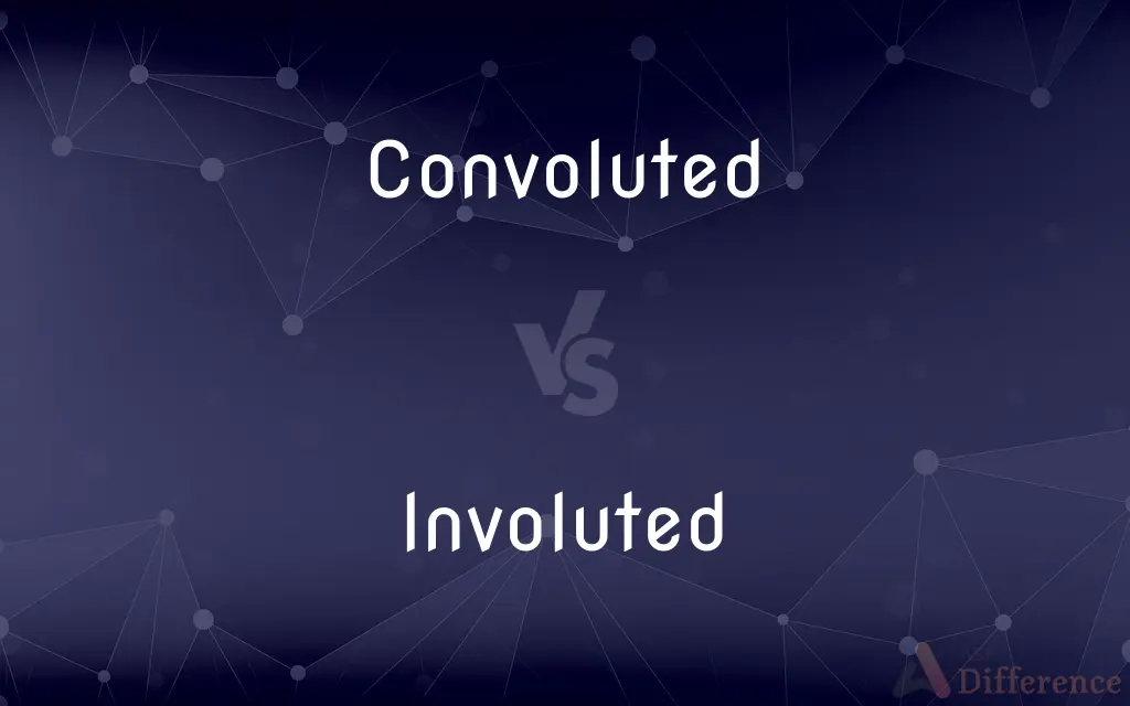Convoluted vs. Involuted — What's the Difference?