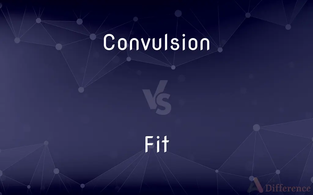 Convulsion vs. Fit — What's the Difference?