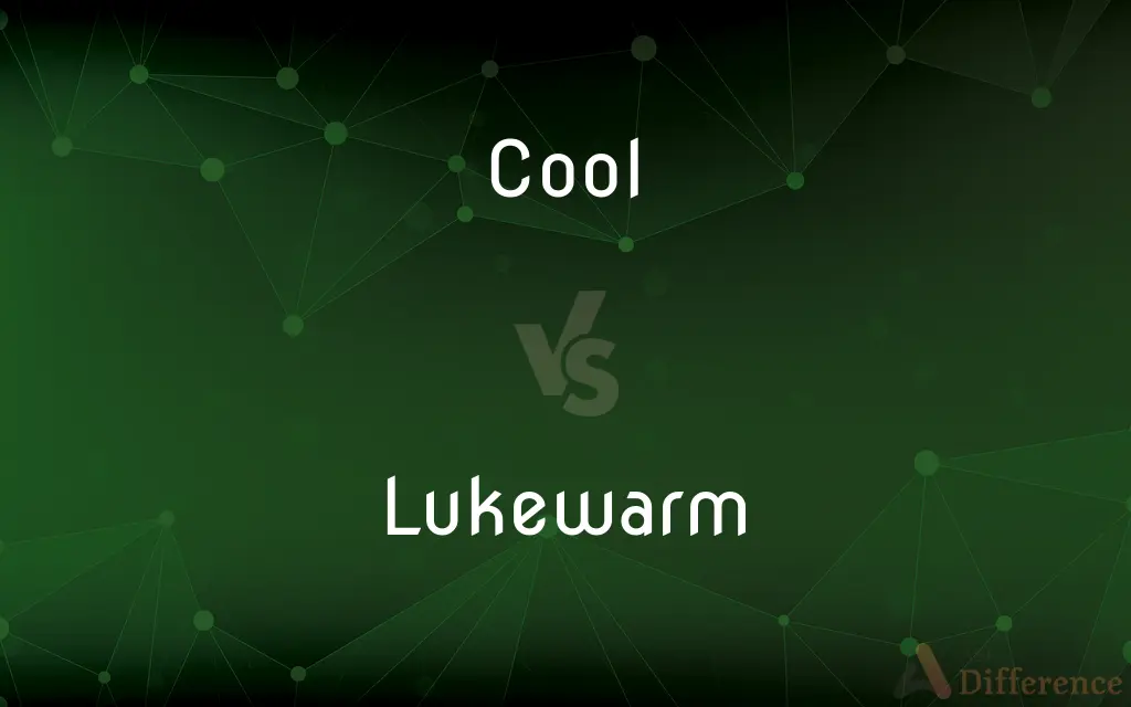 Cool vs. Lukewarm — What's the Difference?