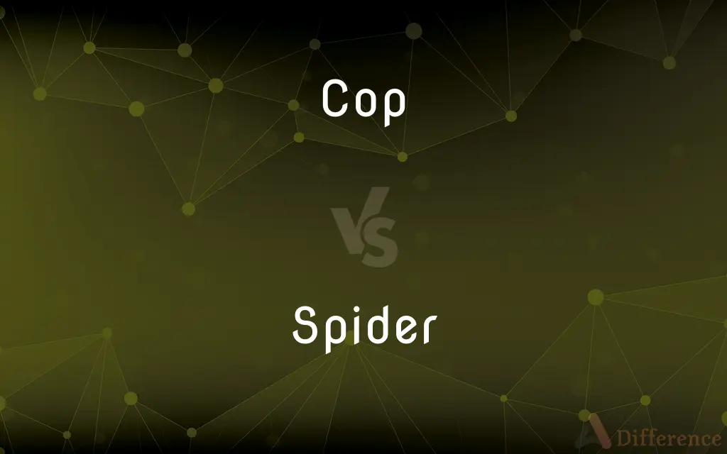 Cop vs. Spider — What's the Difference?