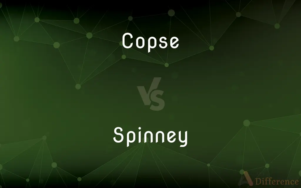 Copse vs. Spinney — What's the Difference?