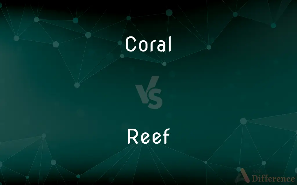 Coral vs. Reef — What's the Difference?