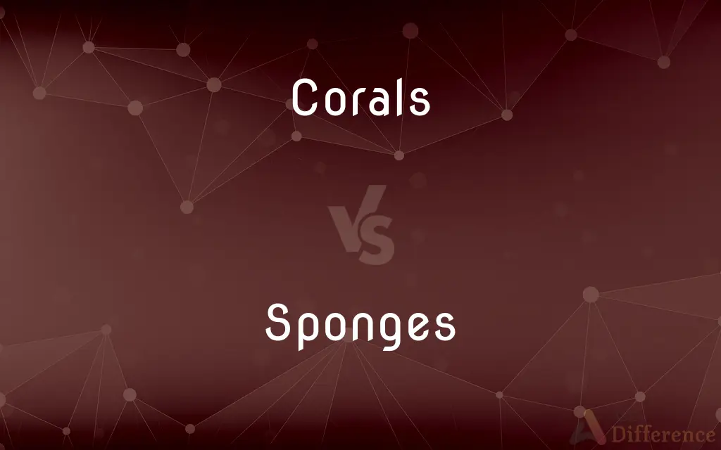 Corals vs. Sponges — What's the Difference?