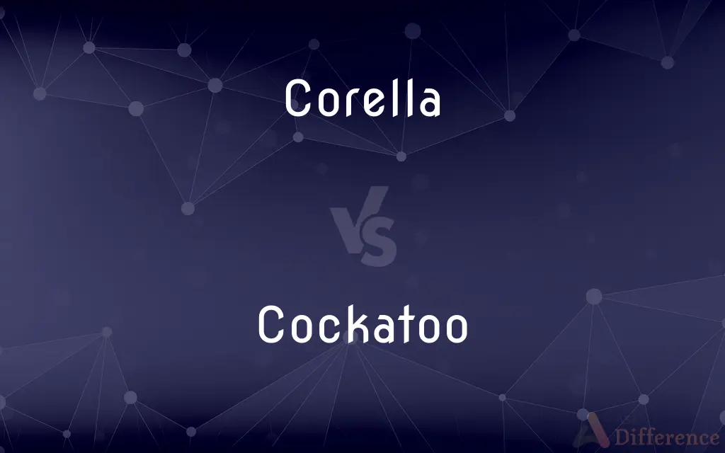 Corella vs. Cockatoo — What's the Difference?