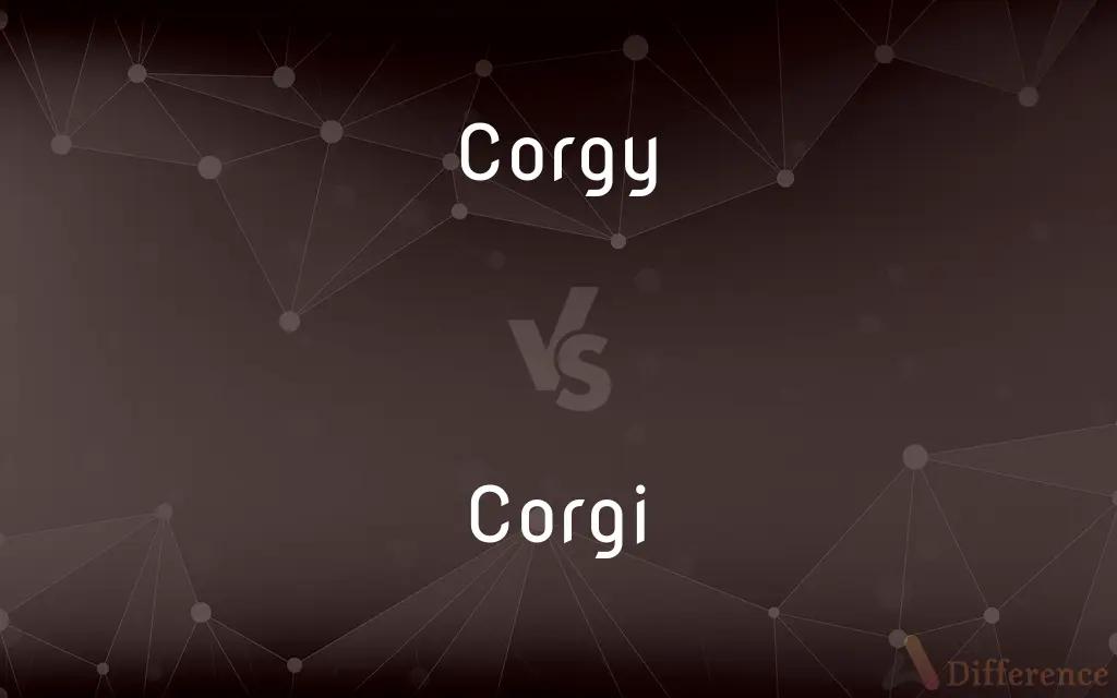 Corgy vs. Corgi — What's the Difference?