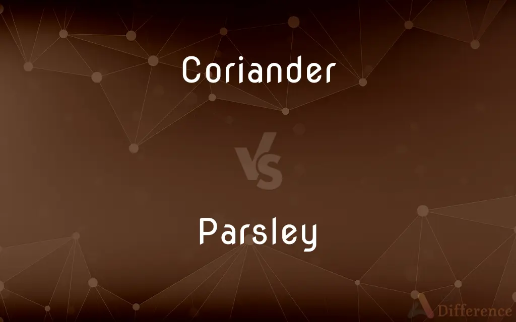 Coriander vs. Parsley — What's the Difference?