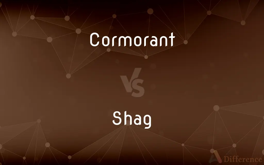 Cormorant vs. Shag — What's the Difference?