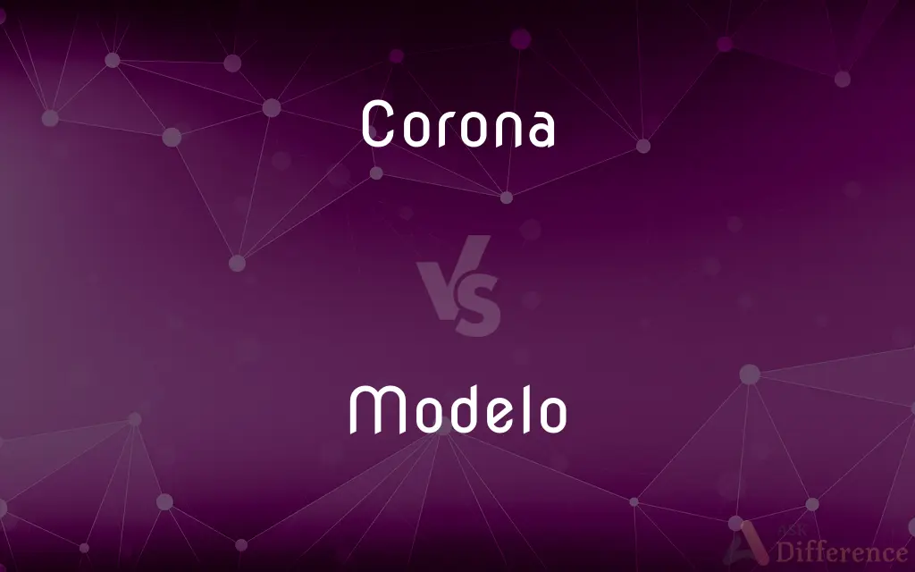 Corona vs. Modelo — What's the Difference?