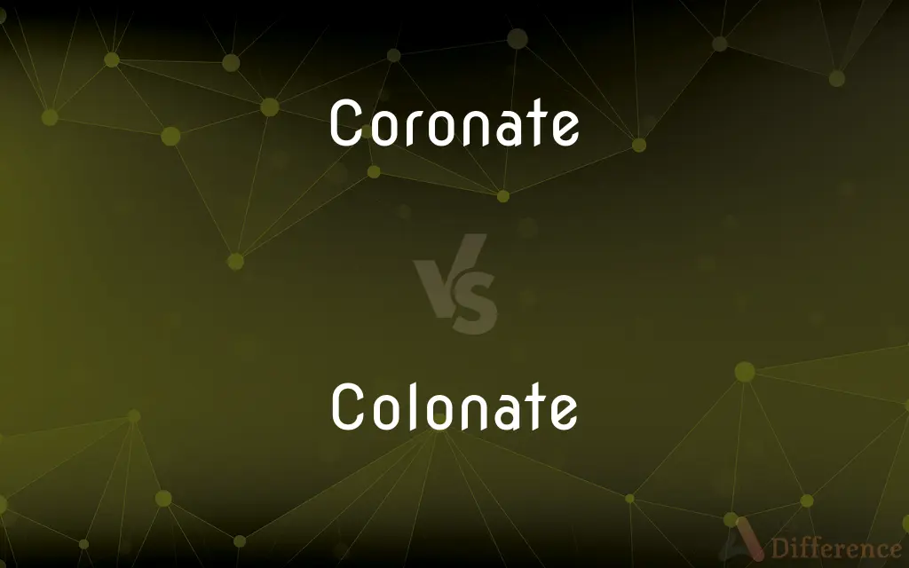 Coronate vs. Colonate — What's the Difference?