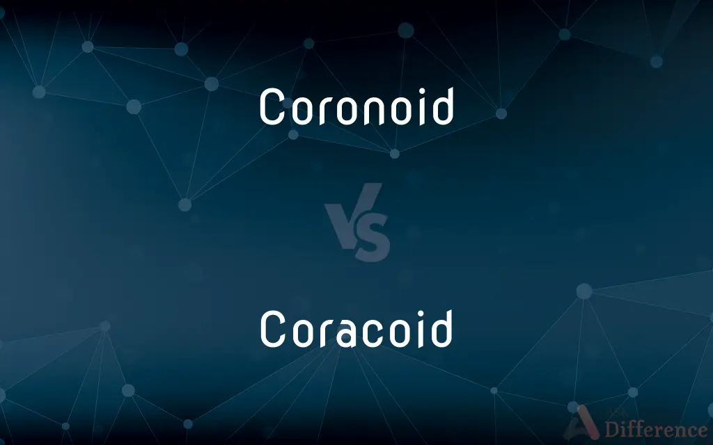 Coronoid vs. Coracoid — What's the Difference?