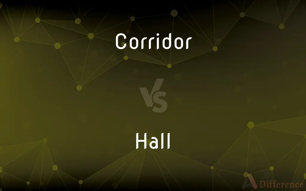 Corridor vs. Hall — What's the Difference?