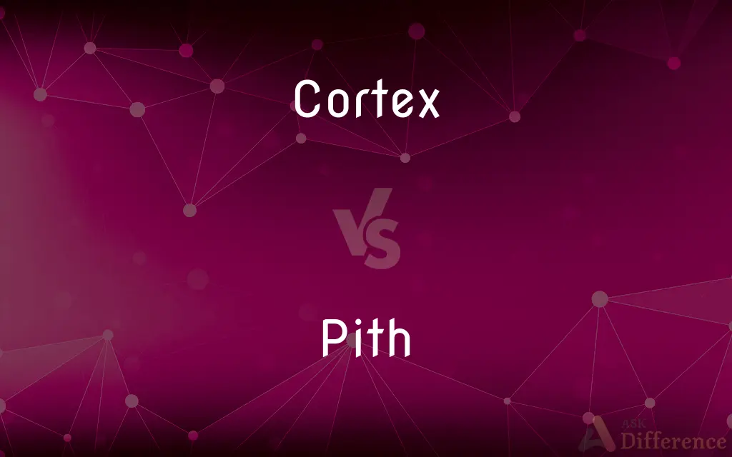 Cortex vs. Pith — What's the Difference?
