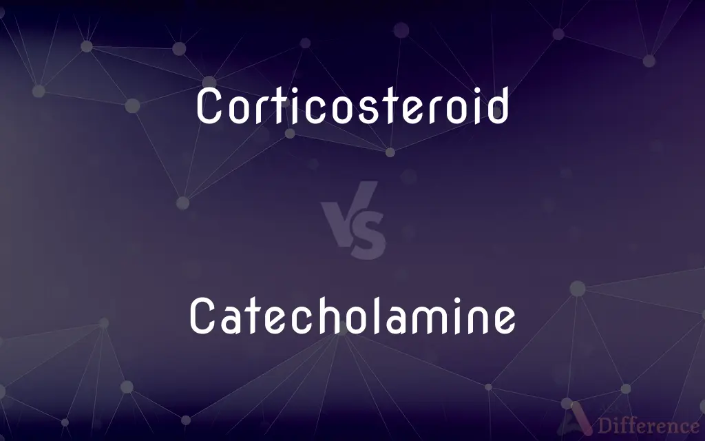 Corticosteroid vs. Catecholamine — What's the Difference?