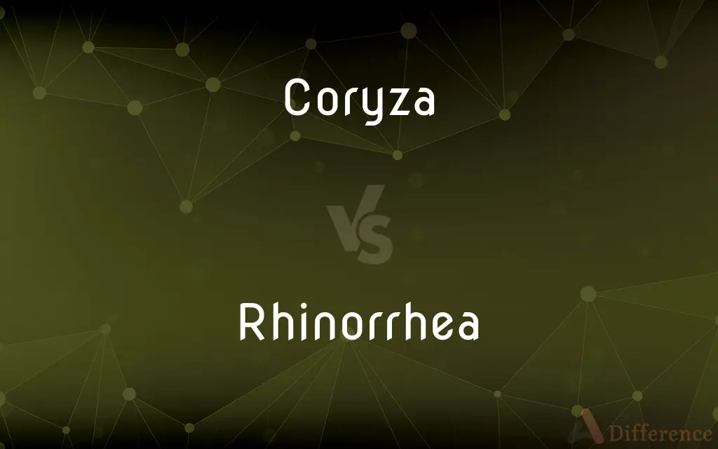 Coryza vs. Rhinorrhea — What's the Difference?