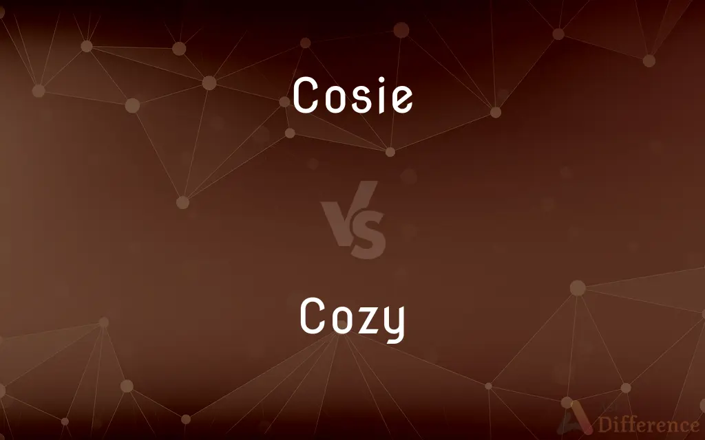 Cosie vs. Cozy — What's the Difference?