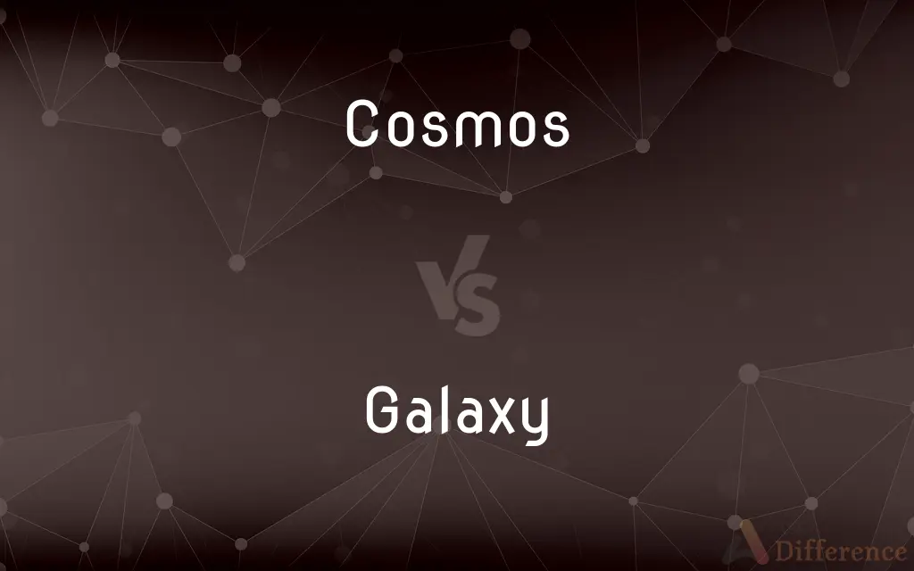 Cosmos vs. Galaxy — What's the Difference?