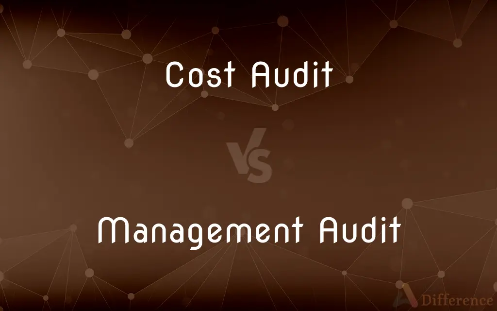 Cost Audit vs. Management Audit — What's the Difference?