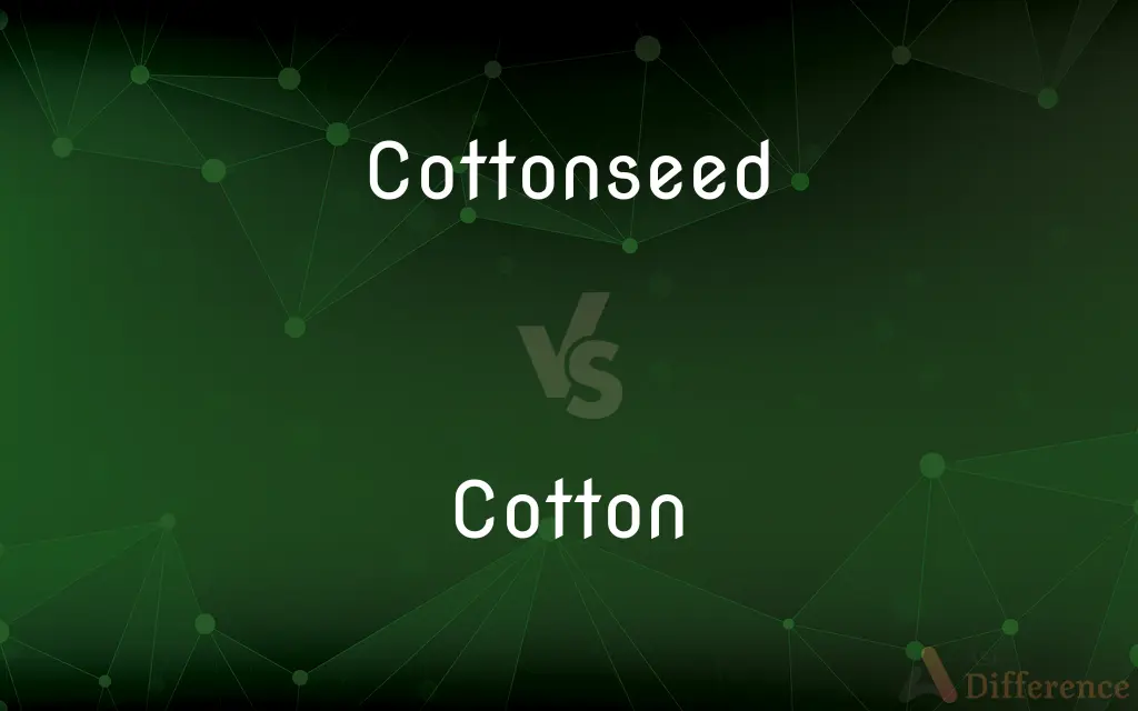 Cottonseed vs. Cotton — What's the Difference?