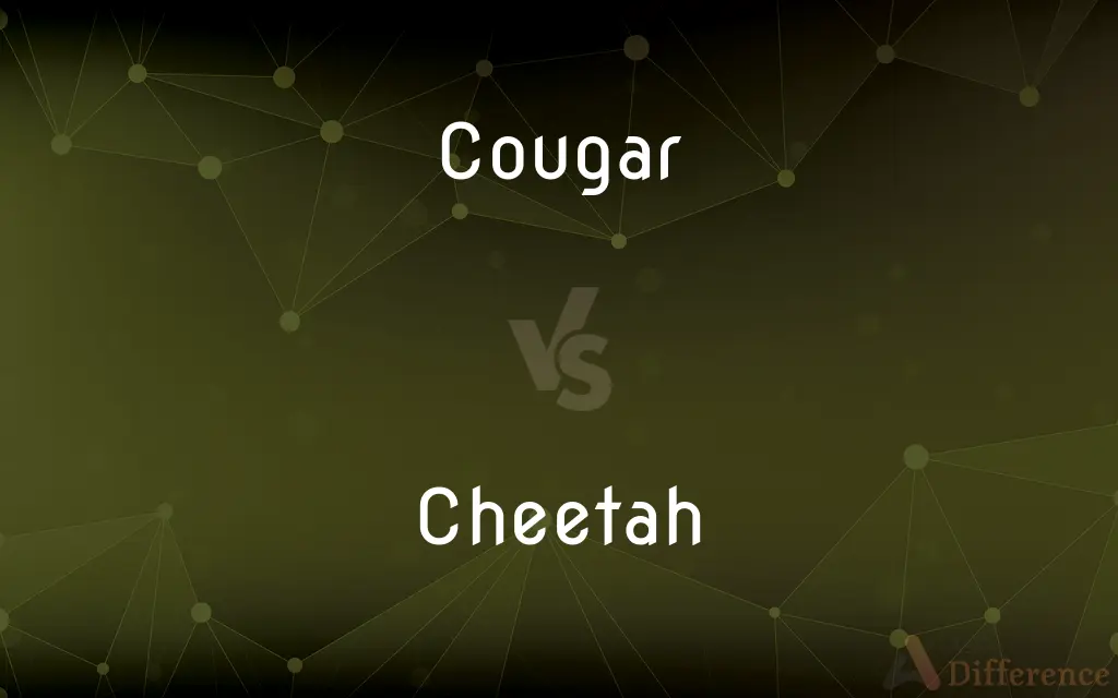 Cougar vs. Cheetah — What's the Difference?