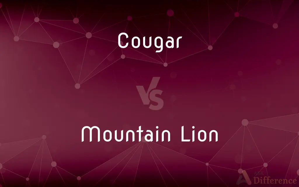 Cougar vs. Mountain Lion — What's the Difference?