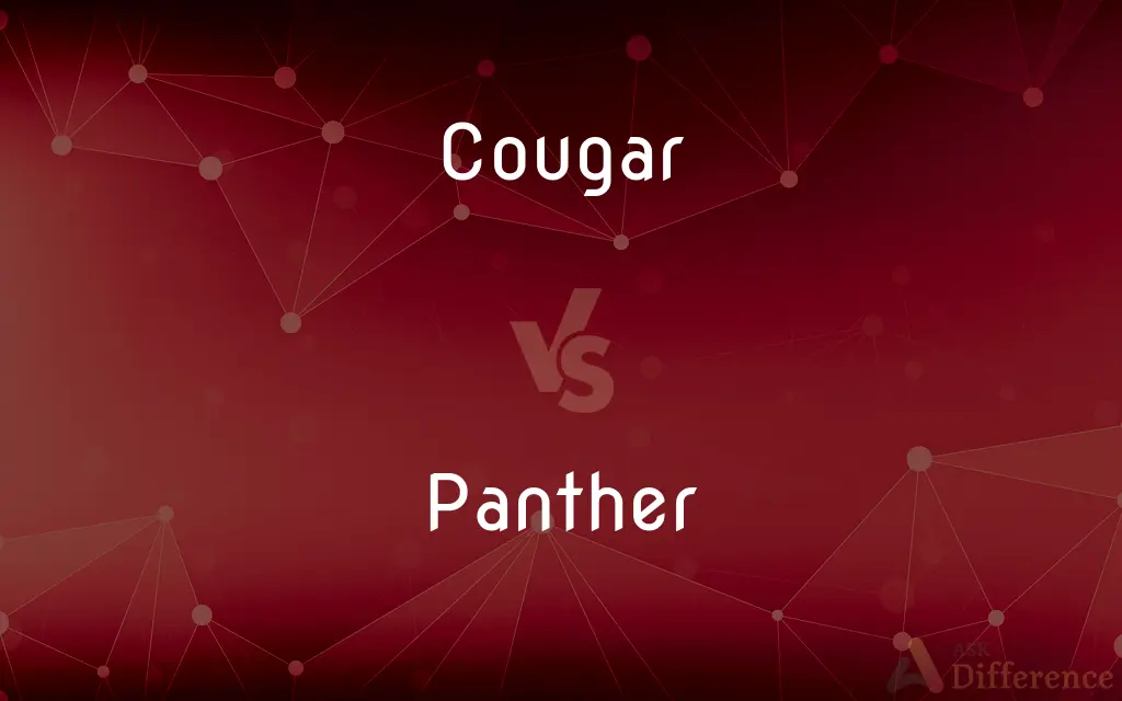Cougar vs. Panther — What's the Difference?
